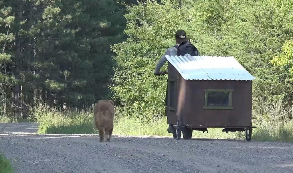 bike cabin