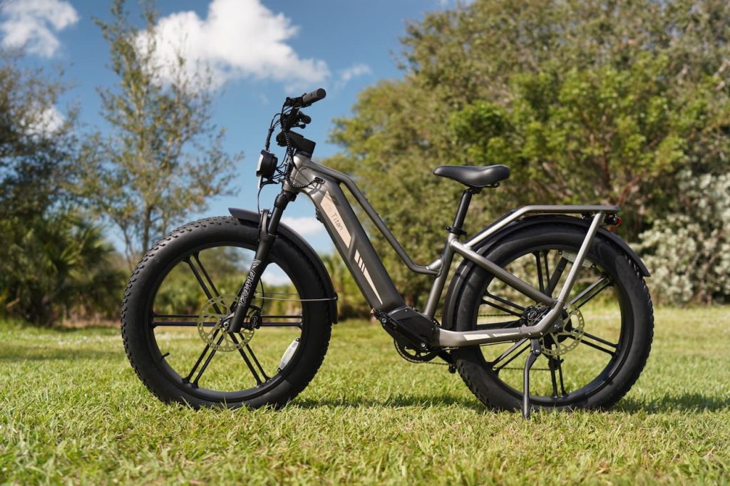 fiido titan e-bike