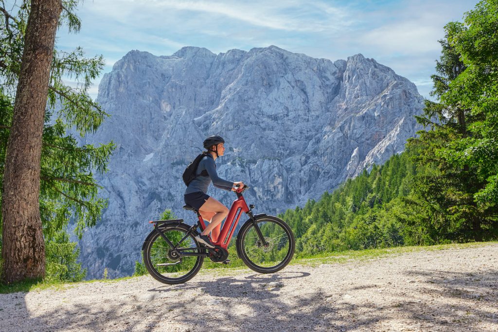 gazelle eclipse e-bike